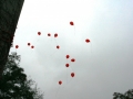 2009-10-17_stand-up_050_4_20091020_1245523437